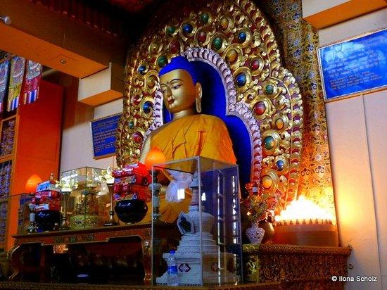 Dalai Lama Temple Complex